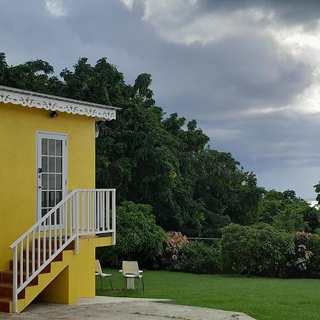 Spectacular Ocean View Retreat Apartment Saint James Exterior foto