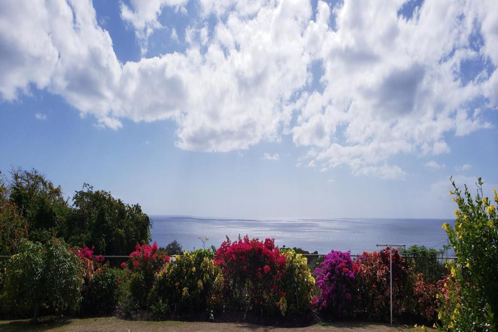 Spectacular Ocean View Retreat Apartment Saint James Exterior foto