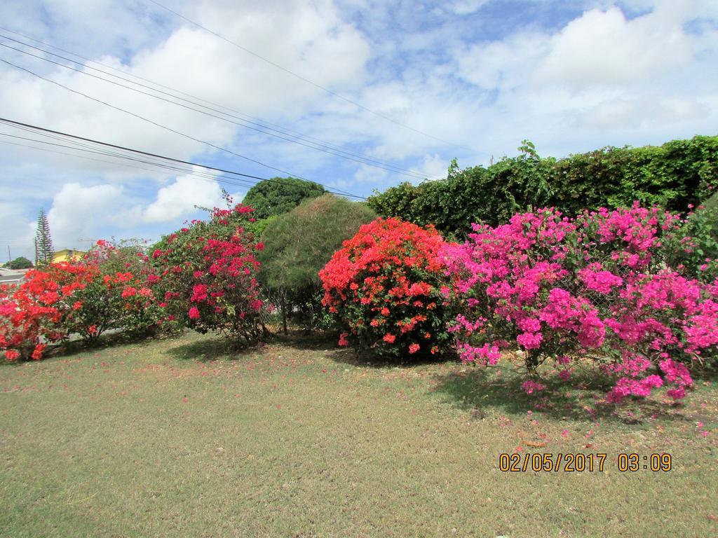 Spectacular Ocean View Retreat Apartment Saint James Exterior foto